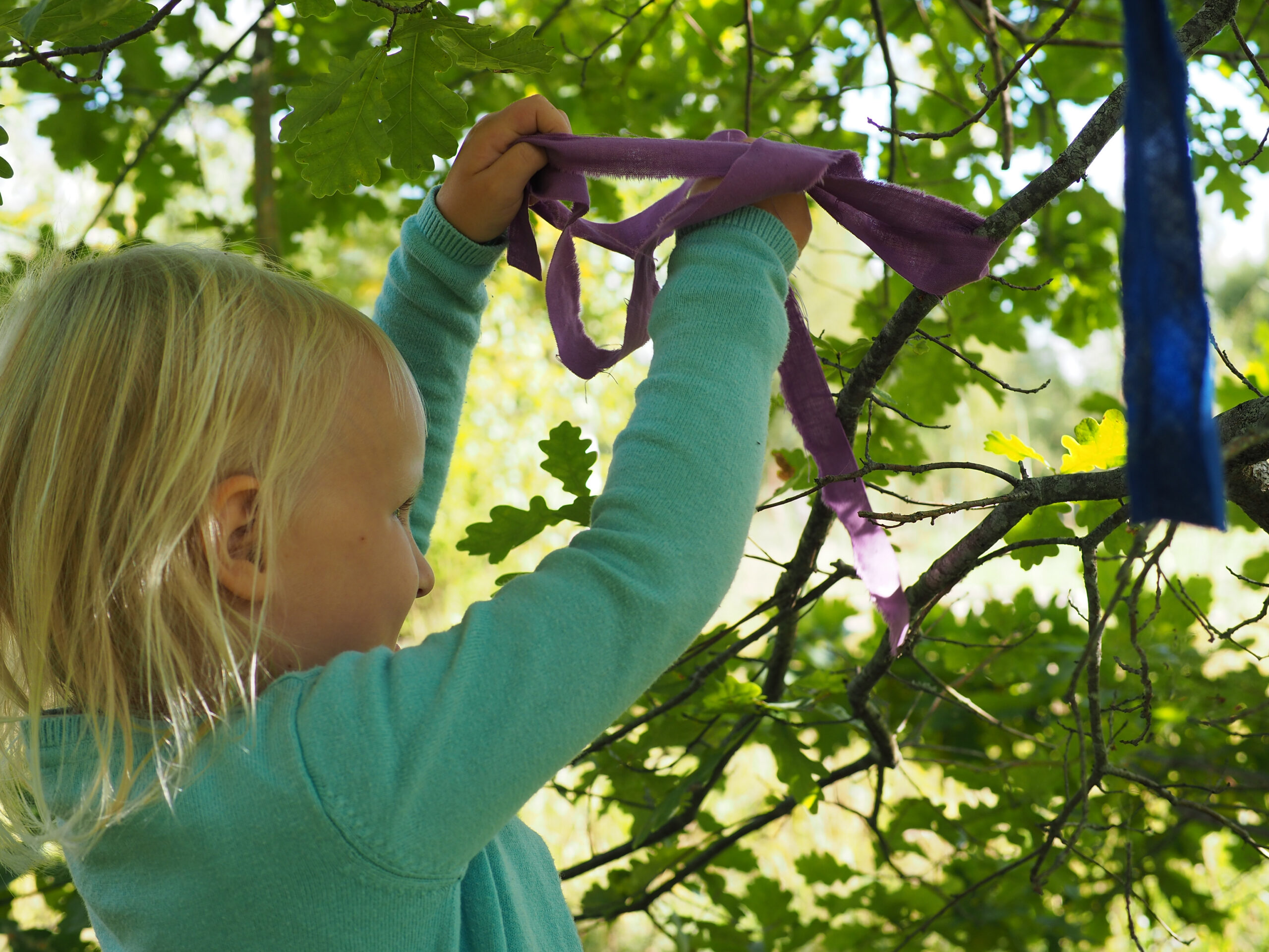 Laps seob paela puu otsa